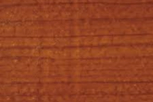 Untitled design (69)